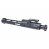 acc-223-bcg-lm-2
