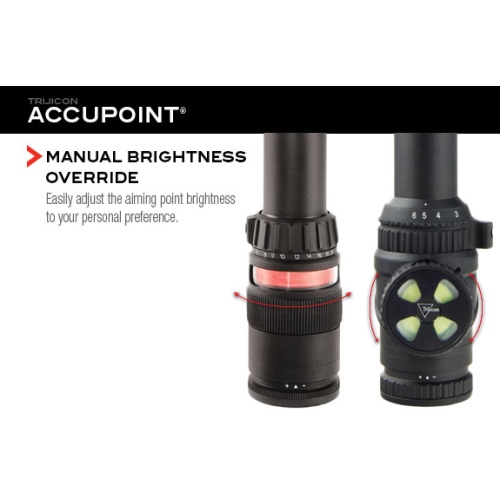 accupoint-features11_1218277169