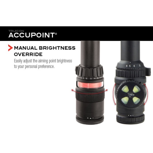 accupoint-features11_359756333