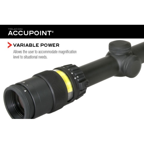 accupoint-features1_1261522653