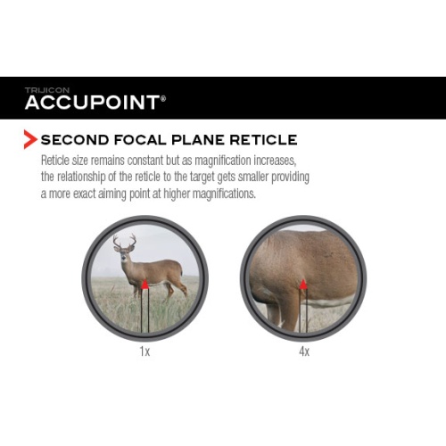 accupoint-features3