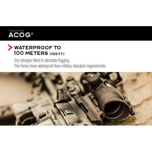 acog-features6_1206298844