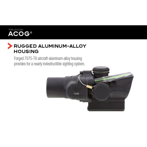 acog-features7_1136020117